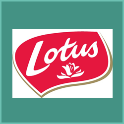 lotus